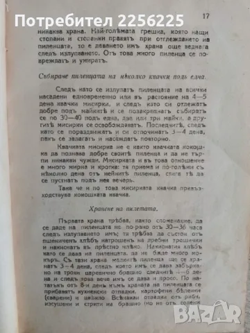 Съвременно птицевъдство , снимка 7 - Специализирана литература - 47725984