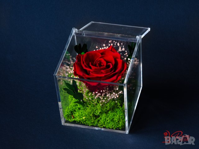Естествена Вечна Роза в Акрилна Кутия / Уникален Подарък за Рожден Ден / Жива Вечна Роза в Кутия, снимка 10 - Подаръци за жени - 43749115