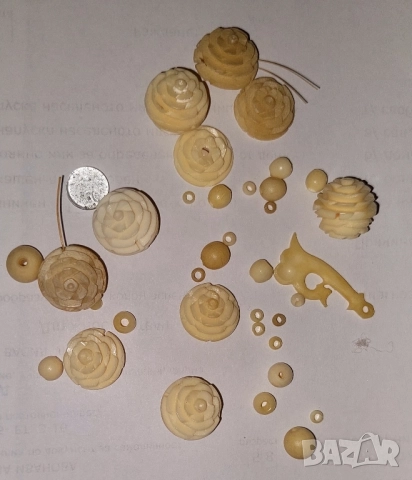 слонова кост 