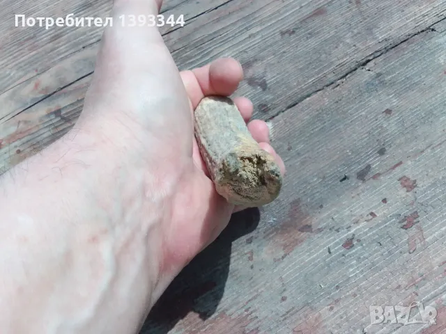 Рог от елен, снимка 7 - Антикварни и старинни предмети - 50409706