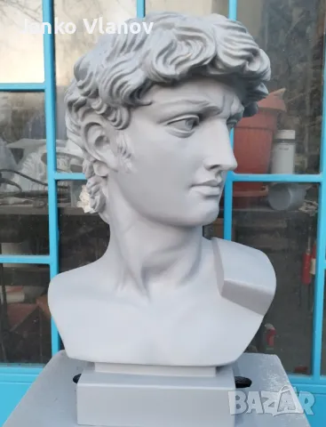 Бюст на Давид, снимка 1
