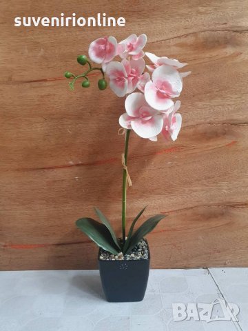 Изкуствени орхидеи в саксийка , снимка 5 - Изкуствени цветя - 34700423