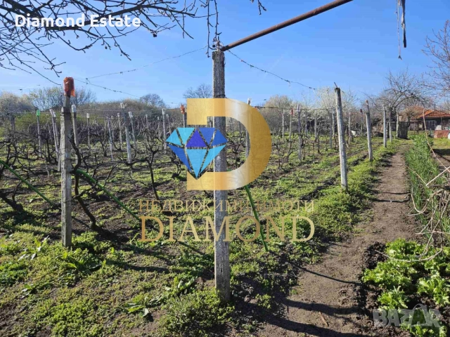 Къща в село Голямо Асеново, общ. Димитровград, снимка 5 - Къщи - 51769673