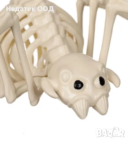 Реалистичен скелет, паяк, Хелоуин, 37 см, снимка 2 - Други - 47606791