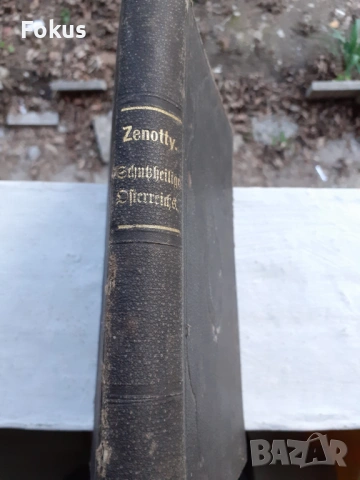 МНОГО СТАРА НЕМСКА БИБЛИЯ 1887 ГОДИНА, снимка 2 - Антикварни и старинни предмети - 53479194
