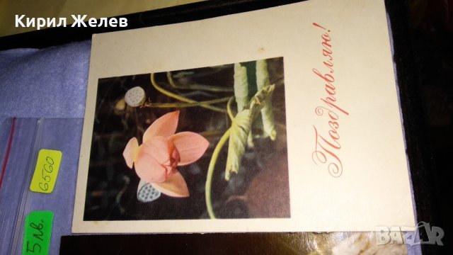 ЛОТ ТРИ СТАРИ КРАСИВИ СССР ПОЩЕНСКИ КАРТИЧКИ СЕРИЯ ЦВЕТЯ ПОЗДРАВИТЕЛНИ 6560, снимка 2 - Филателия - 38571187