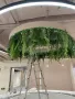 Висящи изкуствени растения , снимка 13
