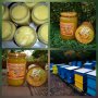 Продавам пчелни семейства, снимка 1 - За пчели - 42940153