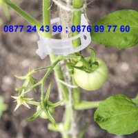 50 броя щипка - клипс за подържане на домати и растения - КОД 3691, снимка 7 - Други - 36674902
