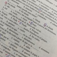 ДЗИ Матурата по испански , снимка 5 - Чуждоезиково обучение, речници - 35449555