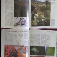 1987г. Албум Книга Снимане на дивите животни и природата, снимка 6 - Антикварни и старинни предмети - 27553425