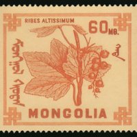 Диви горски плодове на Монголия-8 марки, 1968 г., Монголия, снимка 8 - Филателия - 27971987