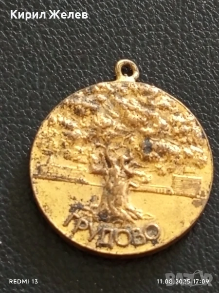 Медал от соца За АКТИВНА ОБЩЕСТВЕНА ДЕЙНОСТ ГРУДОВО за КОЛЕКЦИЯ 40352, снимка 1