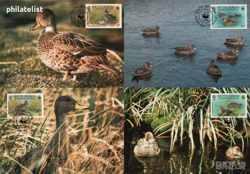 Южна Джорджия 1992 - 4 броя Карти Максимум - WWF, снимка 1