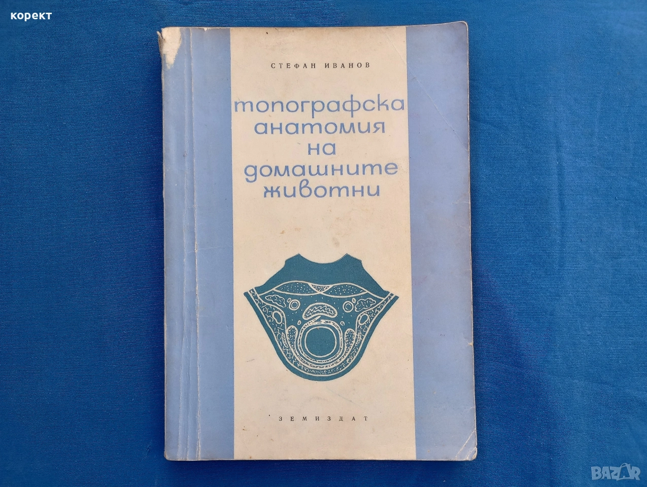 Топографска анатомия на домашните животни , снимка 1