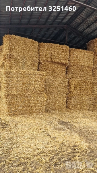 Слама Овес , снимка 1