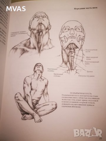 Нова книга Рисунка Техника на рисуване на човешка фигура в движение, снимка 3 - Специализирана литература - 43786321