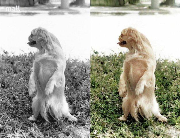 Дигитализирайте и оцветете вашите спомени!, снимка 14 - Други ценни предмети - 28448726