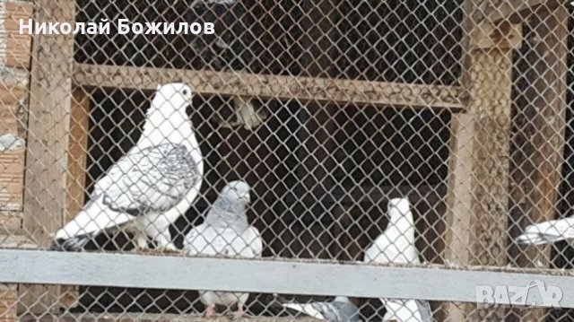 Продавам цял салон Ел седалки Bmw e65 7 series в отлично състояние без забележка , снимка 2 - Аксесоари и консумативи - 28209011