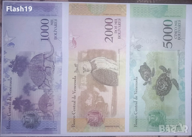 Венецуела 1000/ 2000 / 5000 боливара 2016-2017 UNC, снимка 2 - Нумизматика и бонистика - 52820221