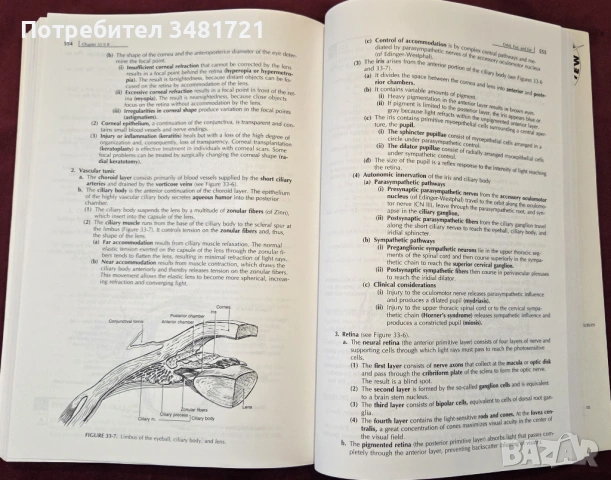 Clinical Anatomy 3rd edition, снимка 11 - Специализирана литература - 53519575