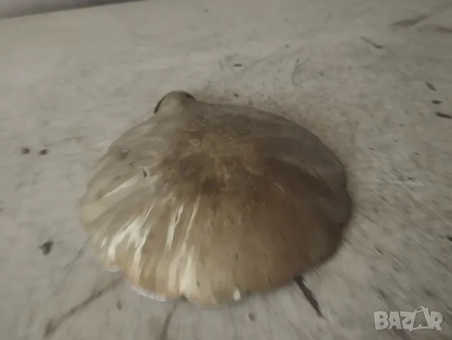 пеплник, снимка 3 - Антикварни и старинни предмети - 47950078