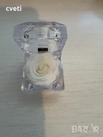 Вечна роза в кристална кутия , снимка 2 - Градински цветя и растения - 48969850