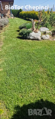 🌿Наторяване на трева с тор от Калифорнийски червей, снимка 7 - Тор и почвени смеси - 49967903