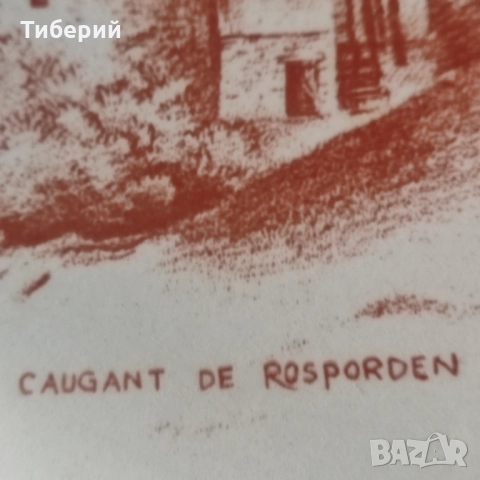 Порцеланови чинии плитки, снимка 10 - Чинии - 52260842