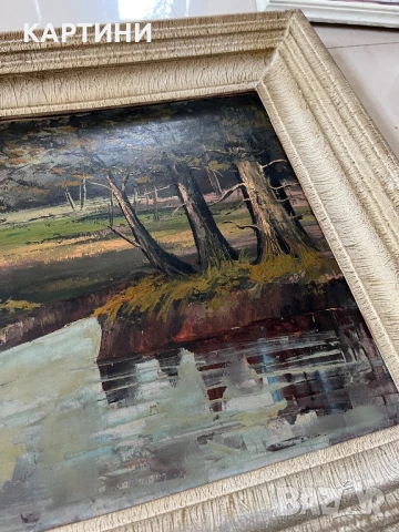 Майсторска картина - Пейзаж, снимка 3 - Картини - 50618741