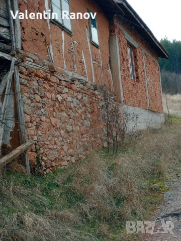 Имот къща в село Гълъбник с площ 980кв, снимка 10 - Парцели - 53349875