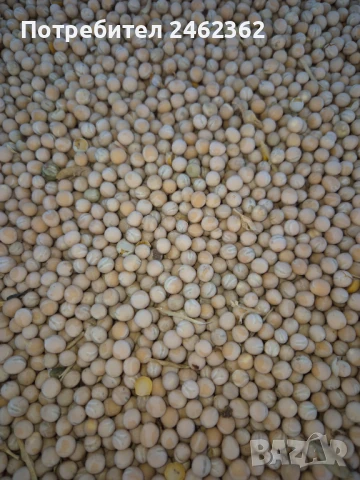 ПРОЛЕТЕН ГРАХ ТИП, снимка 3 - За селскостопански - 50879067