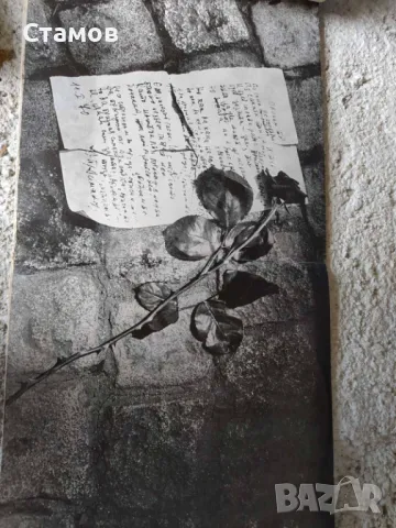 Продавам грамофонни плочи, снимка 10 - Грамофонни плочи - 50360229