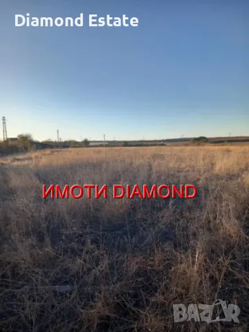 Земеделска земя в село Радиево общ. Димитровград, снимка 2 - Земеделска земя - 47924561