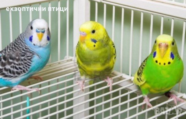 Продавам или Бартер 