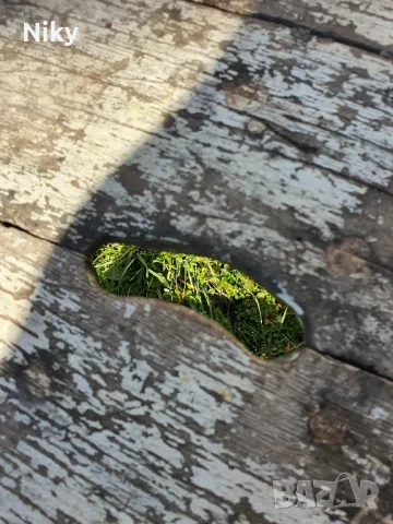 Табуретка , снимка 4 - Столове - 48876739