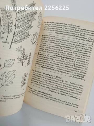 Ръководство за упражнения по дендрология и декоративна дендрология, снимка 9 - Специализирана литература - 53581179