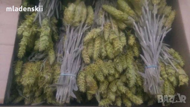 МуРсАлСкИ ЧаЙ, снимка 4 - Домашни продукти - 28503909