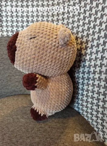 Капибара, снимка 3 - Други - 50179305