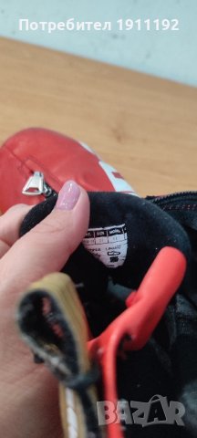 Alpina. Ски обувки, ски бягане. 37, снимка 3 - Зимни спортове - 43905441