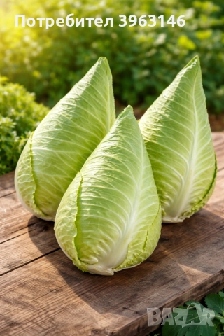 Семена за Стотинки, снимка 12 - Сортови семена и луковици - 52838410