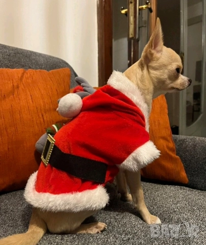 Коледна кучешка дрешка / Дреха за куче за Коледа, снимка 4 - За кучета - 52807739