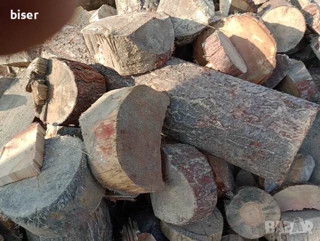 ДЪРВЕНИ ИЗРЕЗКИ И ПЪНЧЕТА -ЗА ОГРЕВ, снимка 3 - Дърва за огрев - 47112997