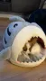 Котещка хралупа - къща с формата на акула, легло за котки, котка, куче, снимка 5