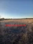 Земеделска земя в село Радиево общ. Димитровград, снимка 2