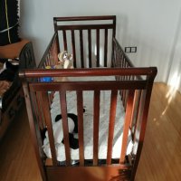 Бебешка кошара, снимка 2 - Мебели за детската стая - 35021636