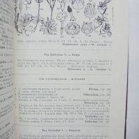 Книга Определител на растенията в България - Д. Делипавлов и др. 1992 г., снимка 2 - Други - 36804723