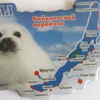  Автентичен магнит от езерото Байкал, Русия-серия, снимка 8 - Други ценни предмети - 28748404