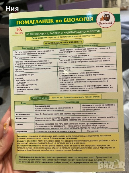 Помагалник по Биология- Домино, снимка 1