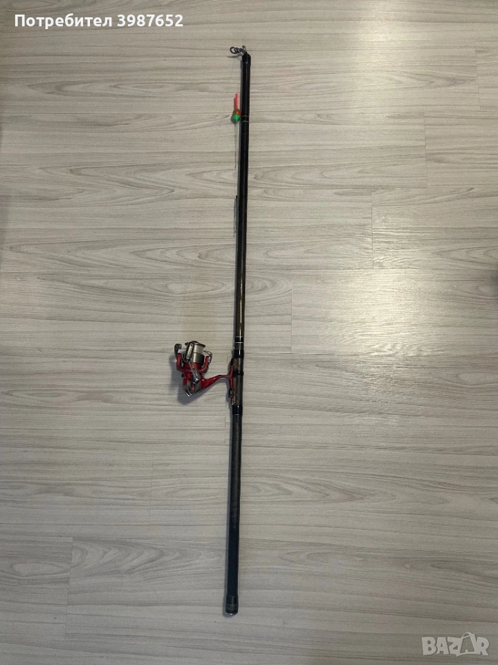 Болонеза и макара, снимка 1